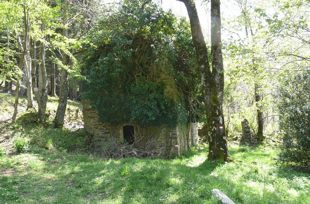 Pic nic nel borgo – Fiammineda, il borgo delle tradizioni