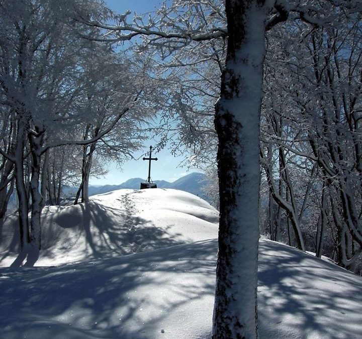 Monte Belvedere