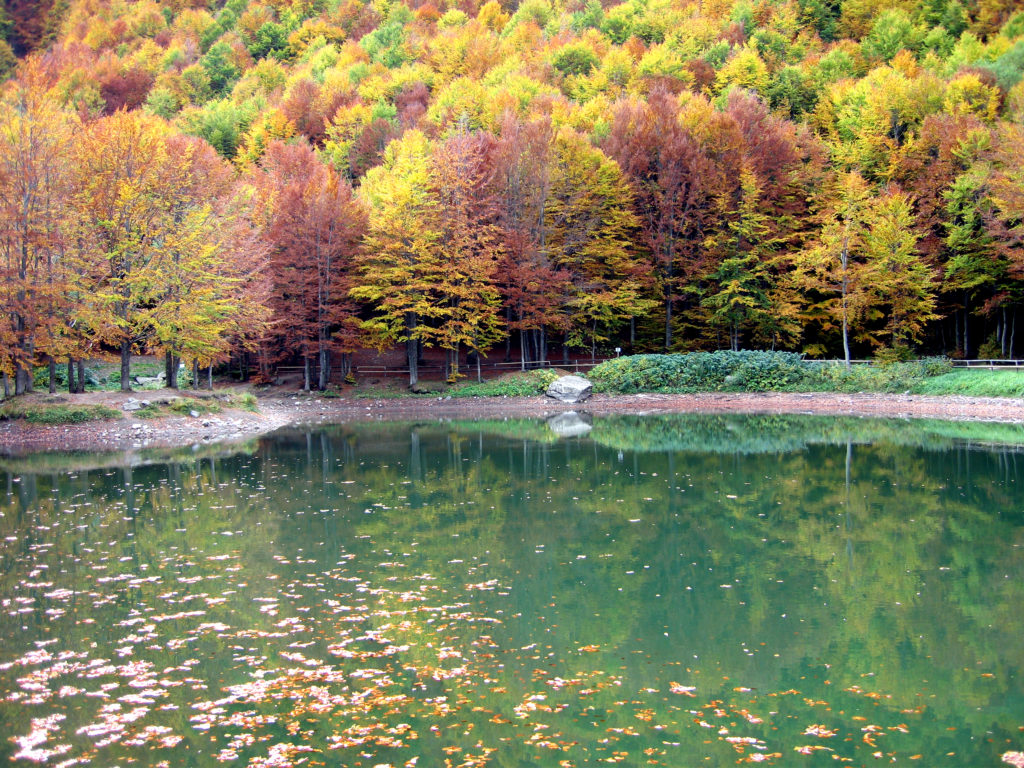 Laghetto Cavone foliage