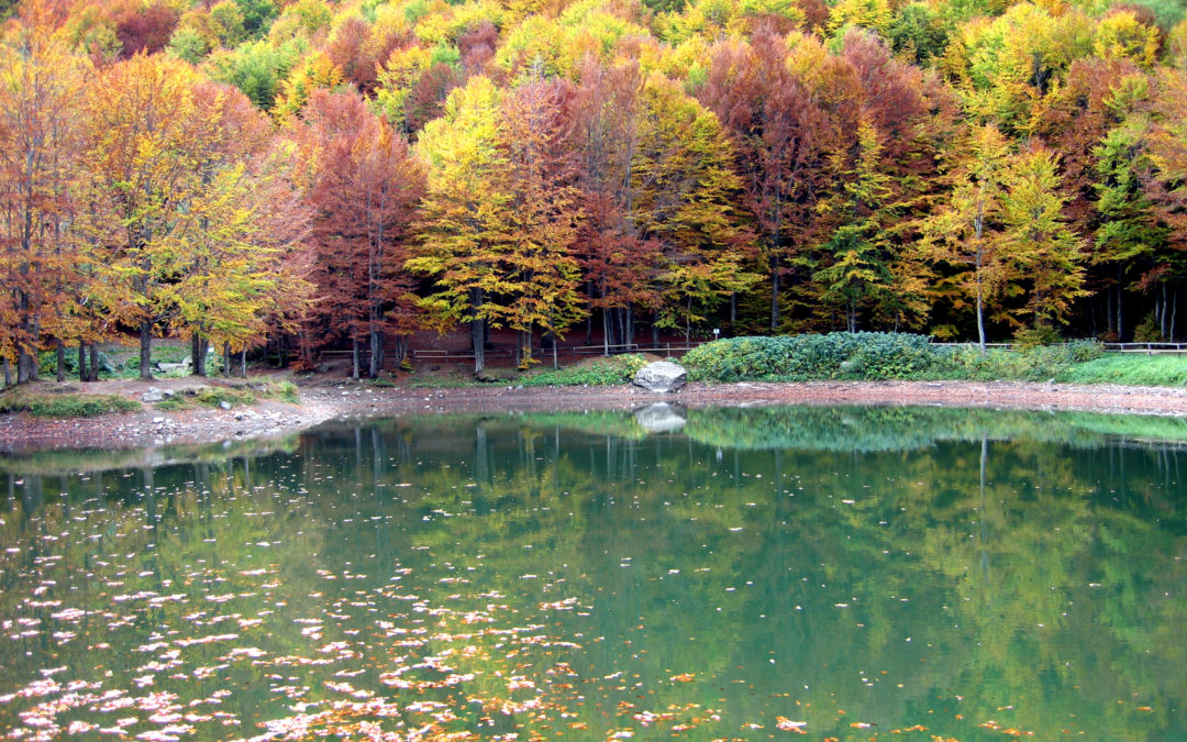 Specchi d’acqua