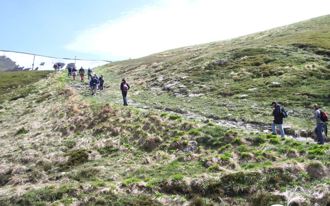 Passeggiate salutari