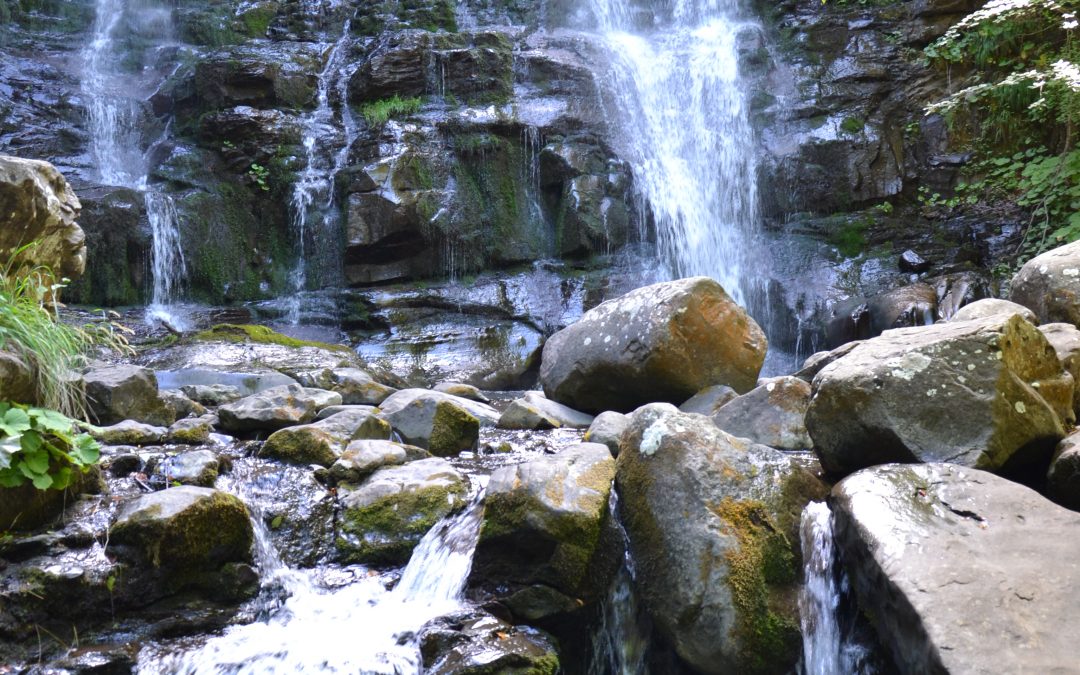 Tour delle acque – Le cascate del Dardagna