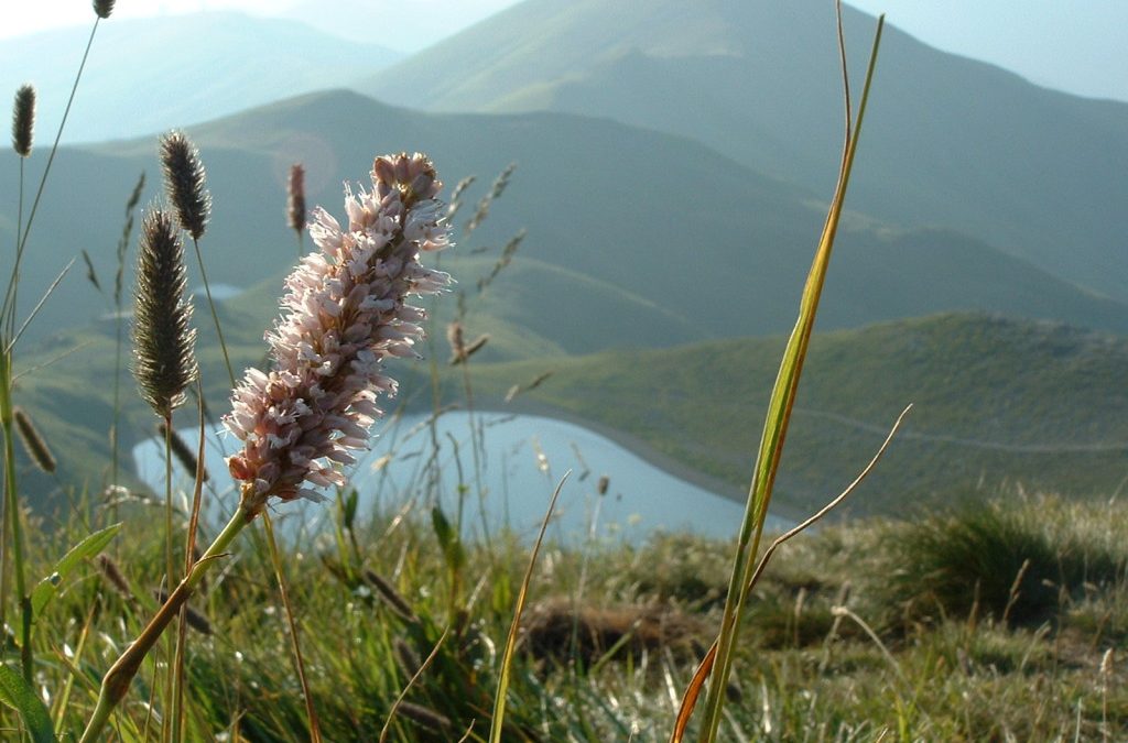 La leggenda del Lago Scaffaiolo