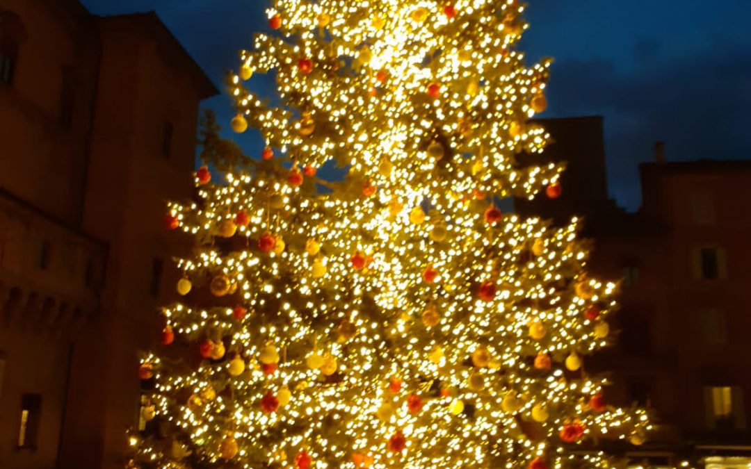 L’albero di Natale a Bologna